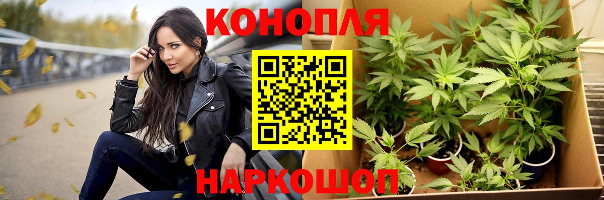 Похвистнево  Марихуана индика  Бошки Шишки конопля  Бошки Шишки семена  Вход с VPN 